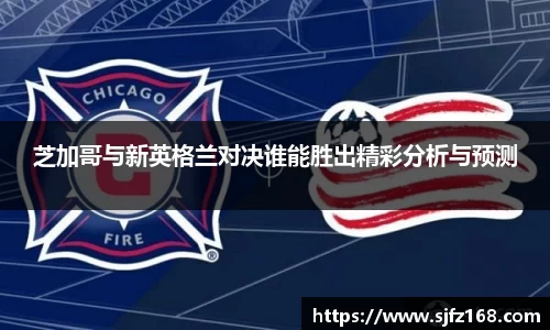 芝加哥与新英格兰对决谁能胜出精彩分析与预测